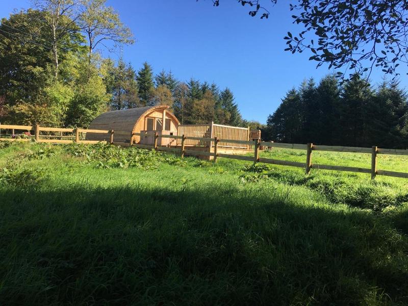 Brynllwyd Glamping image