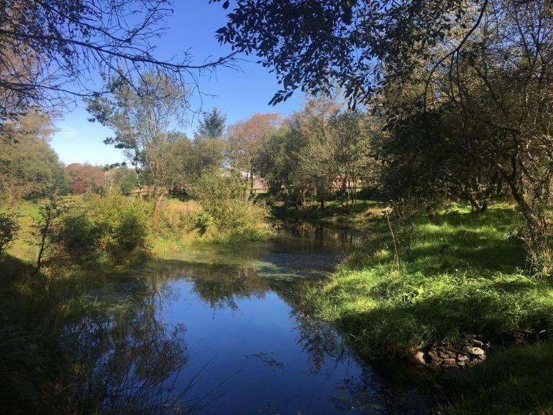 Brynllwyd Glamping image