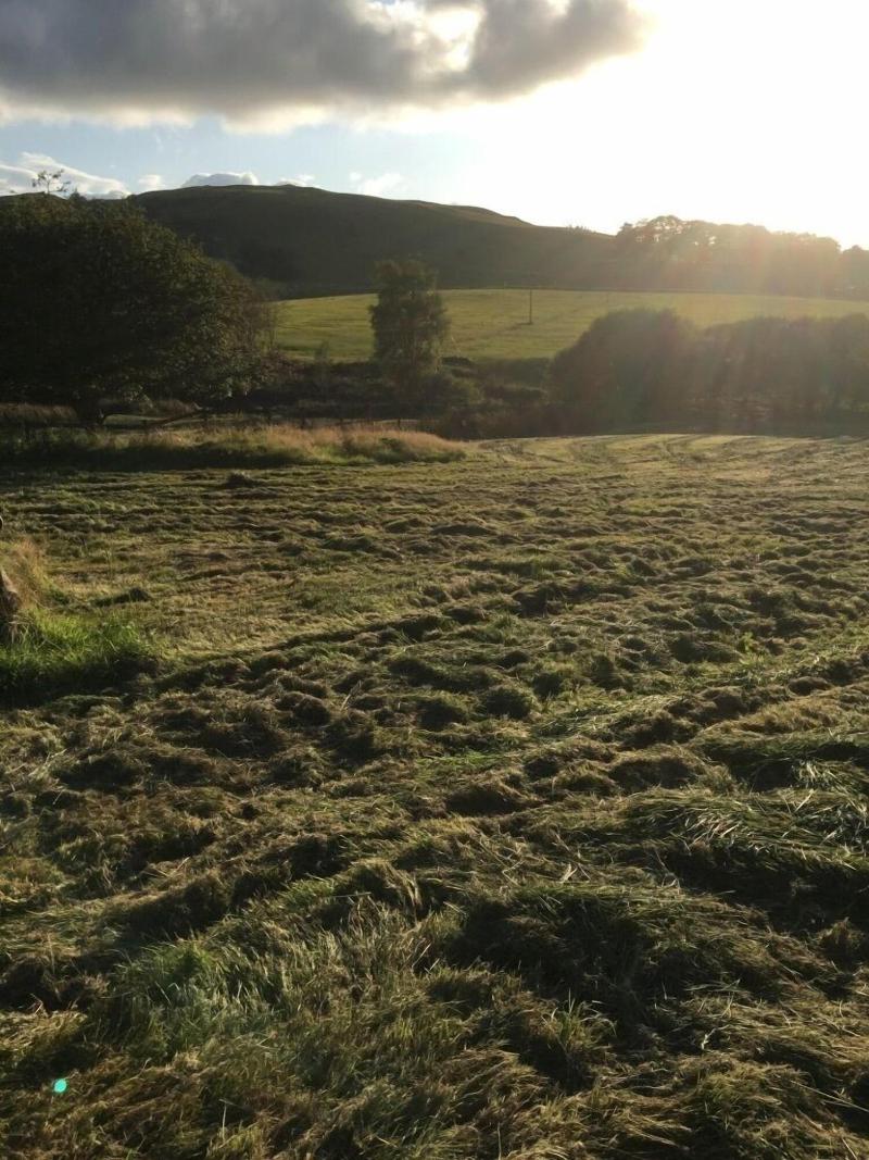 Brynllwyd Glamping image