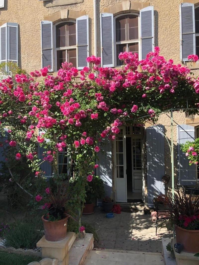 B&B Coup de Coeur image