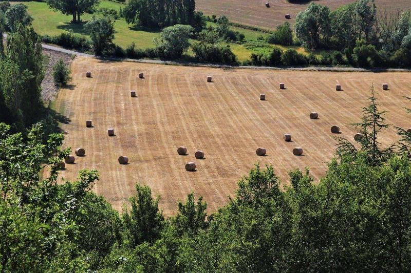 Domaine des Gendalis image
