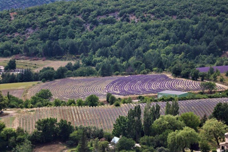Domaine des Gendalis image
