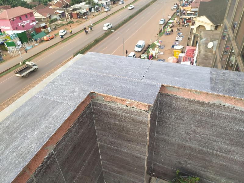 Airport Hotel Entebbe image