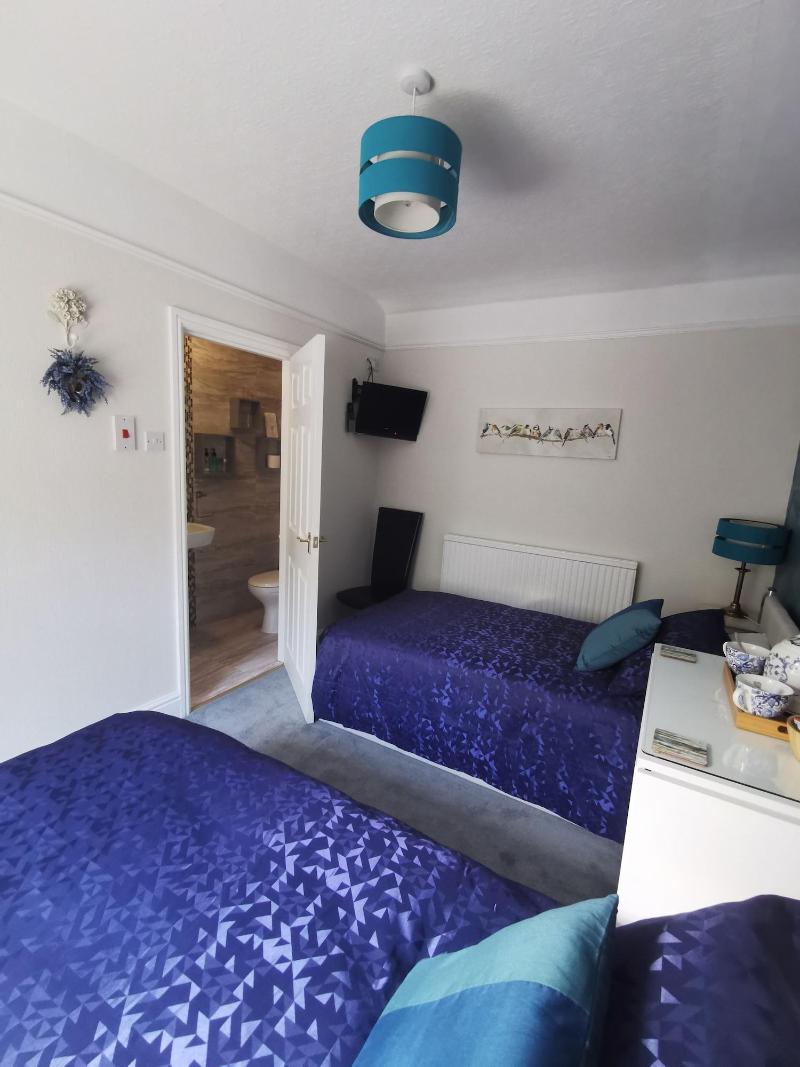 Dolweunydd Bed & Breakfast image
