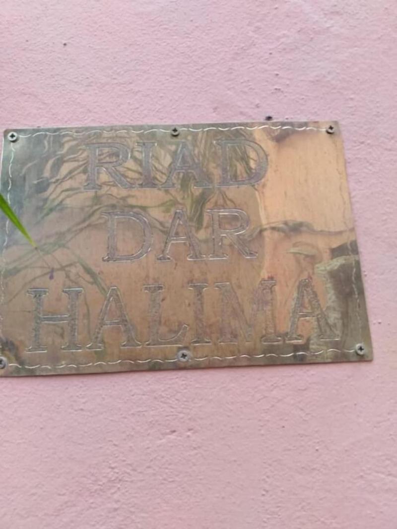 Dar Halima image