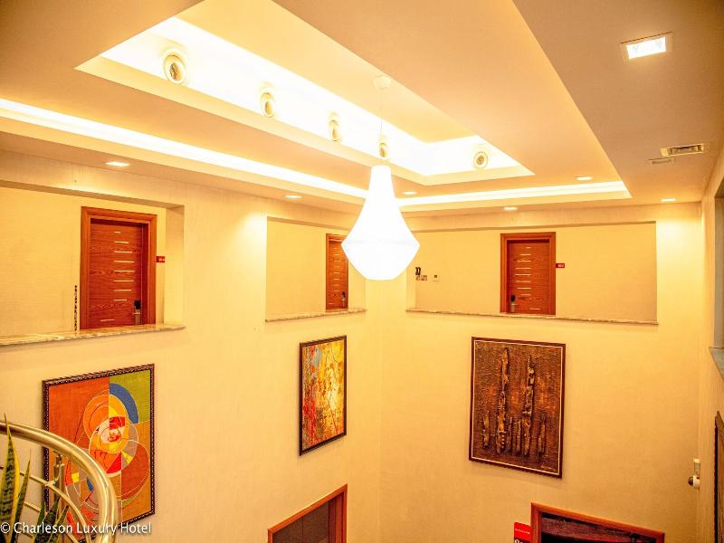 Charleson Luxury Hotel image