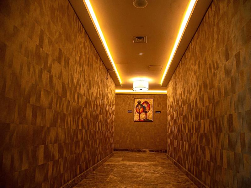 Charleson Luxury Hotel image