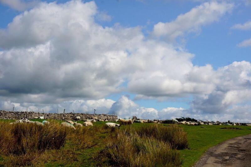 High Greenside Farmhouse B&B image