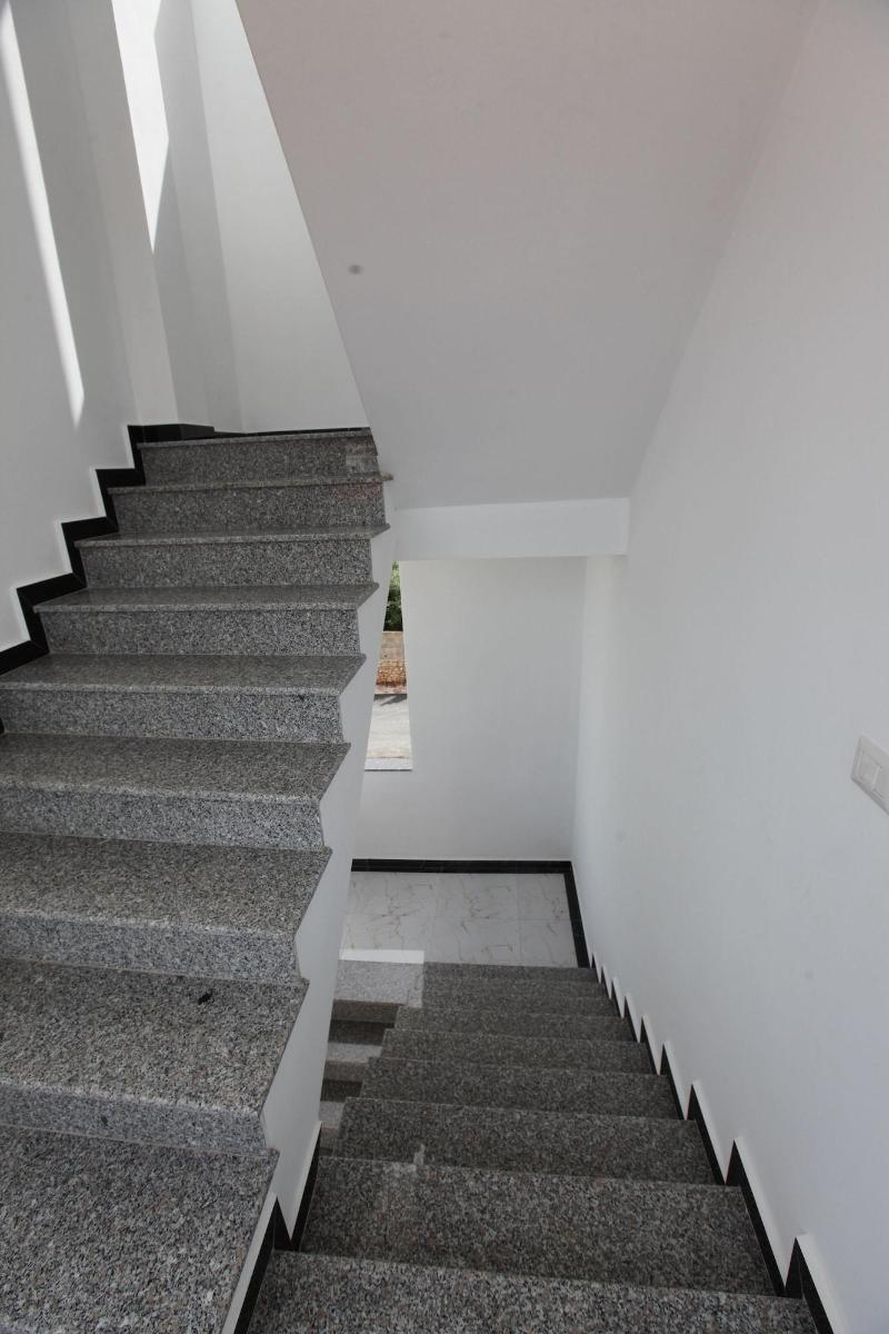 Vila Mucodemi image