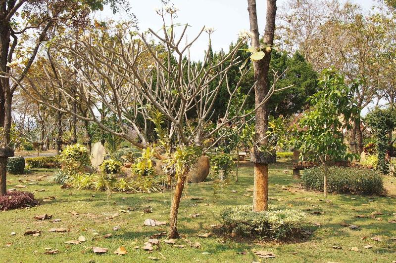 Khao Yai Country Hill Resort image