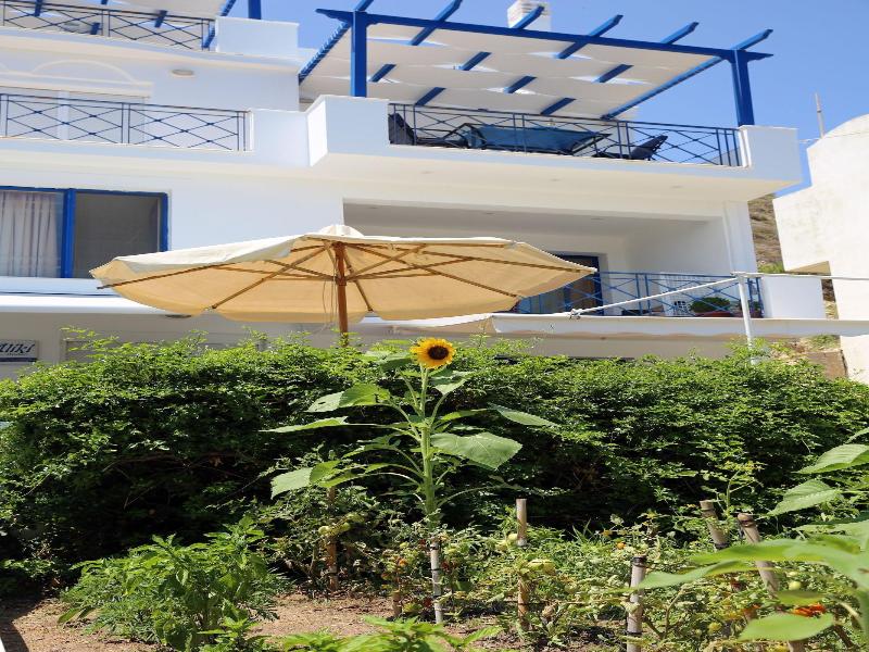 Aliki Studios