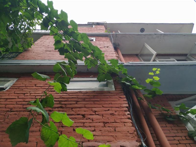Family Peace House image