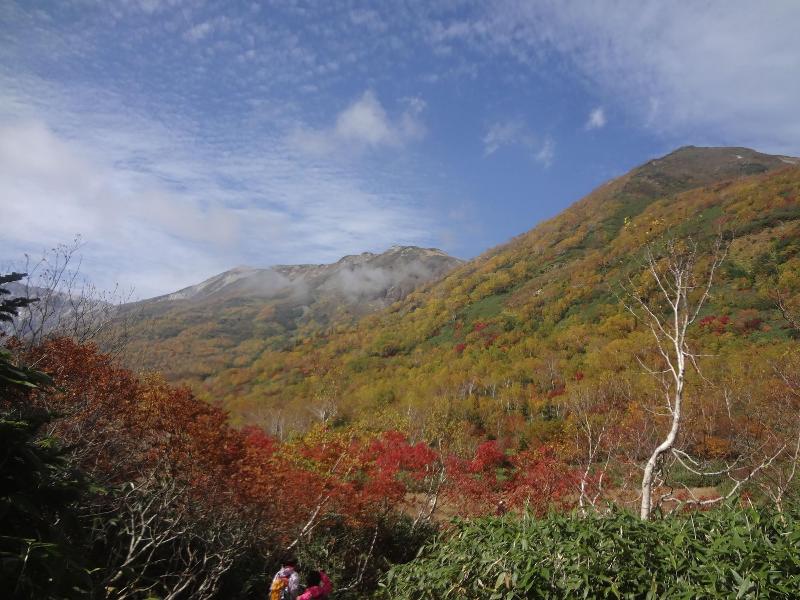 Pension Alps Hakuba image