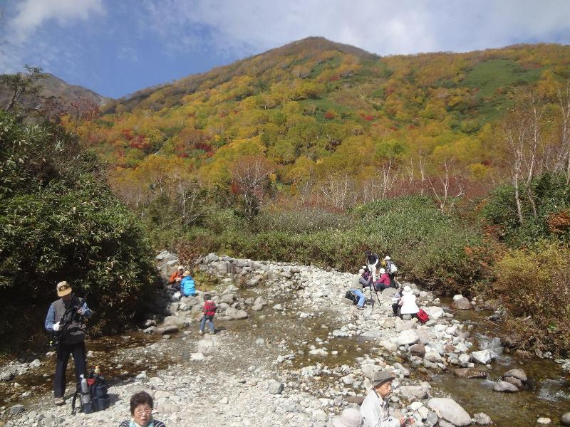 Pension Alps Hakuba image