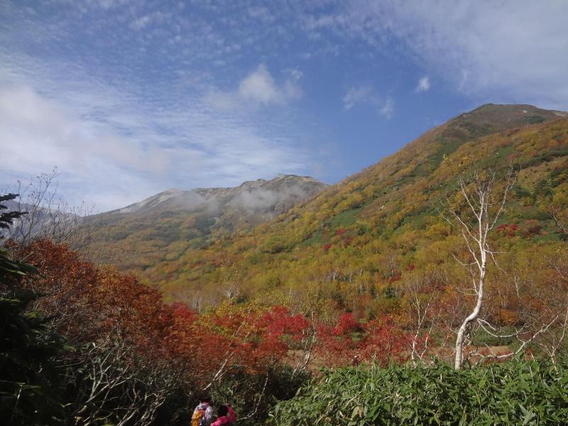 Pension Alps Hakuba image