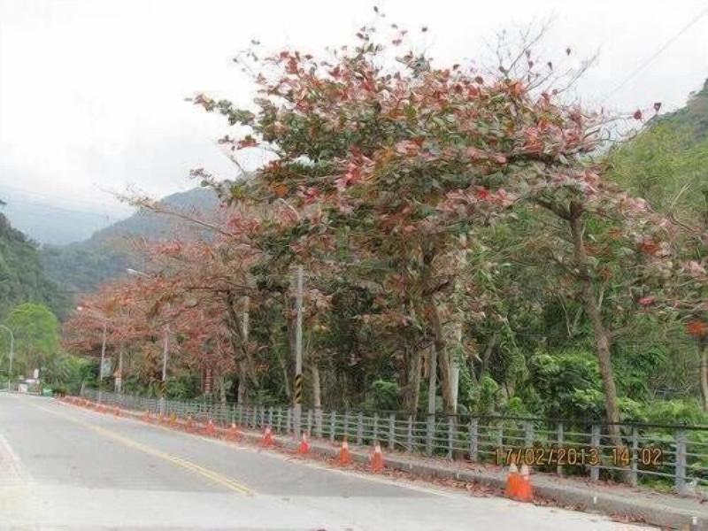 Taitung Cheng B&B — main photo