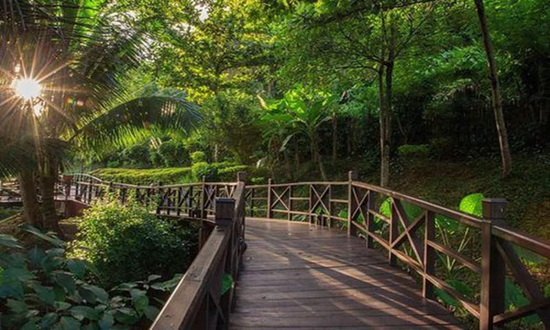 Luang Say Lodge