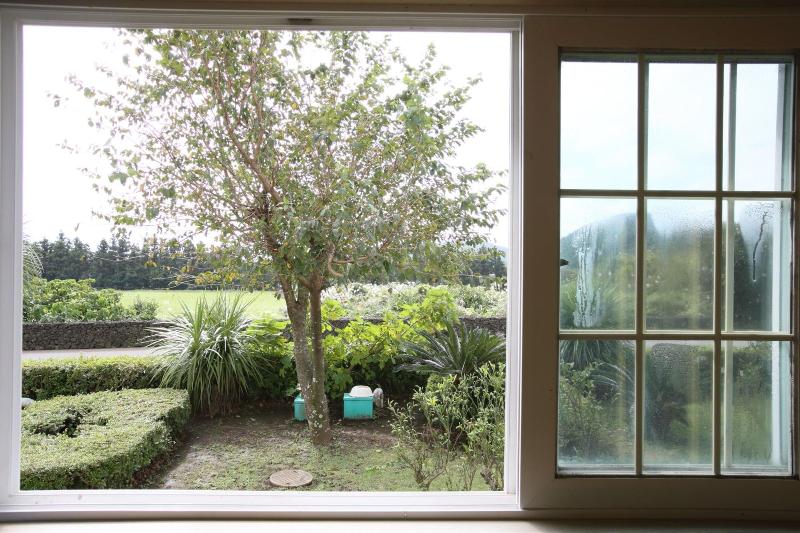 Blaze Resort Jeju image