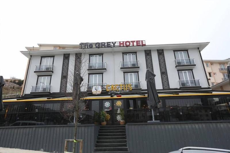 The Grey Hotel image