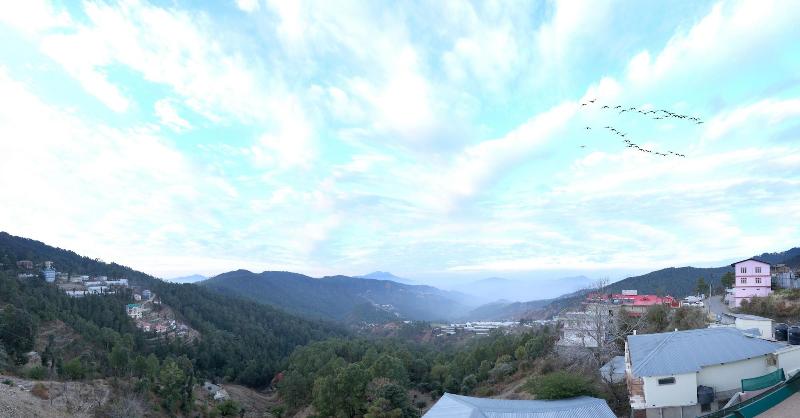 Hotel Chail Residency image