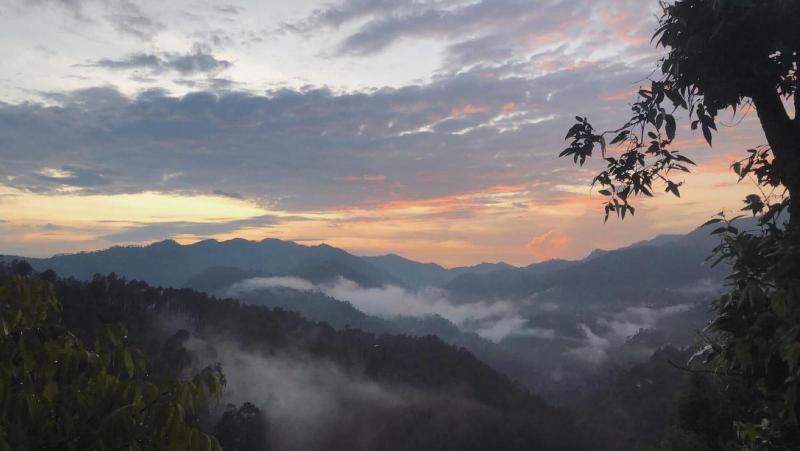 Hotel Chail Residency image