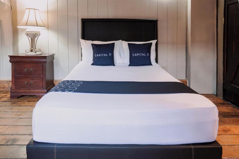 Capital O Hotel Villa Azura image