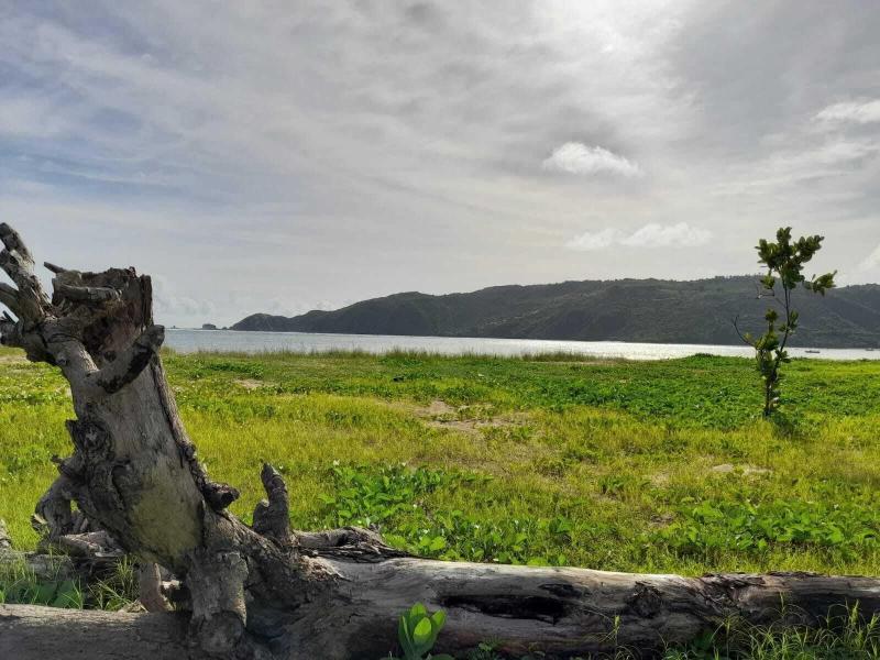 Kuta Paradise image