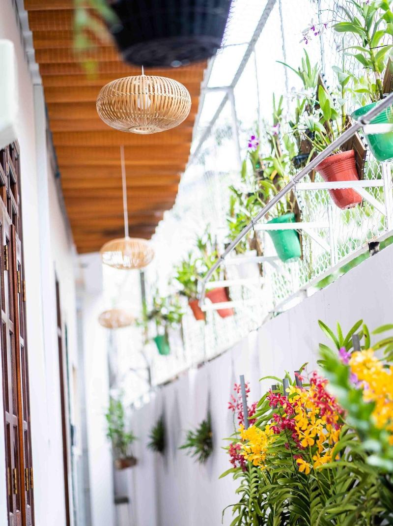 Orchid Garden Homestay Can Tho image