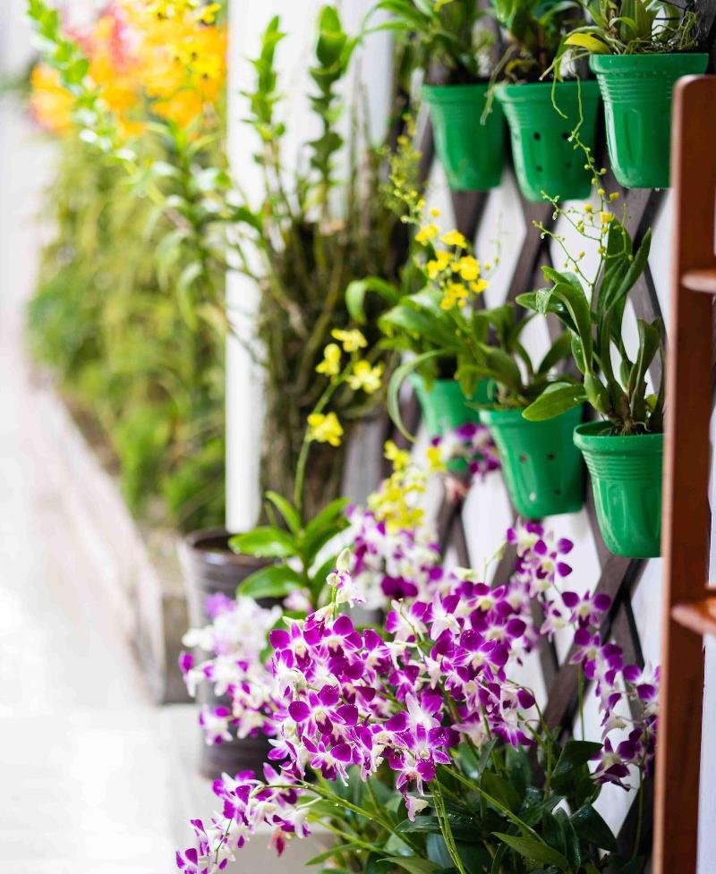 Orchid Garden Homestay Can Tho image