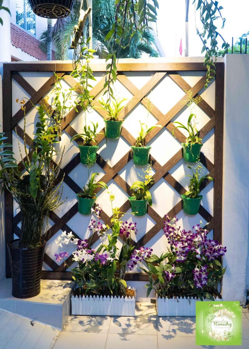 Orchid Garden Homestay Can Tho image