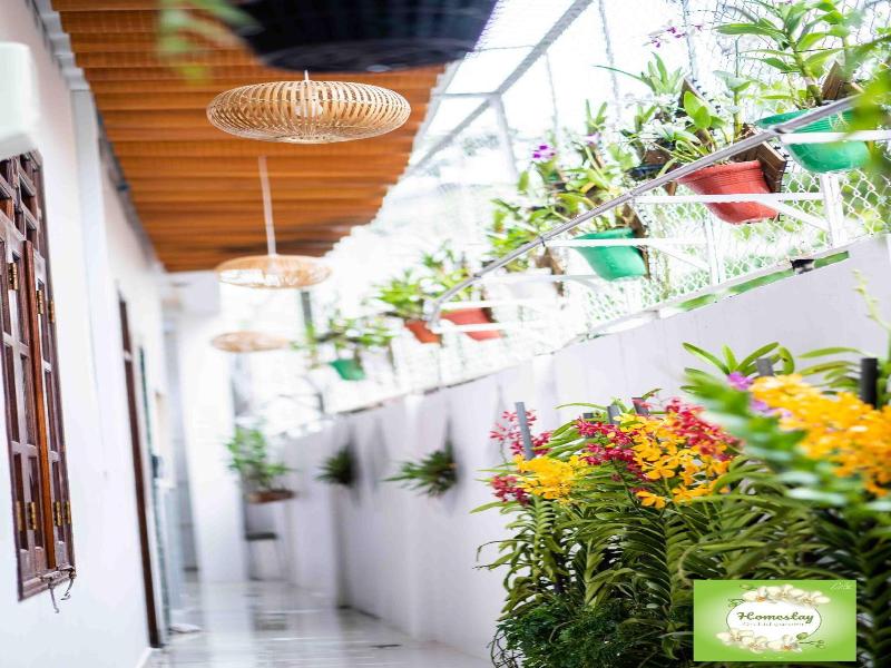 Orchid Garden Homestay Can Tho image