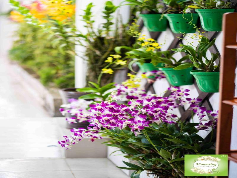 Orchid Garden Homestay Can Tho image