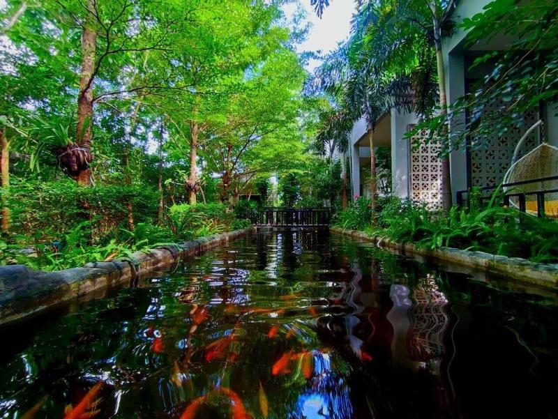 Raing Phnom Bungalow image