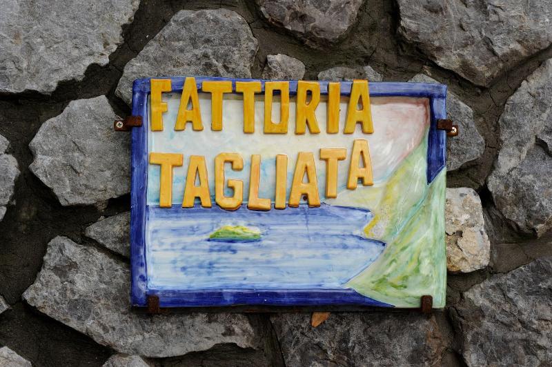 Fattoria La Tagliata image
