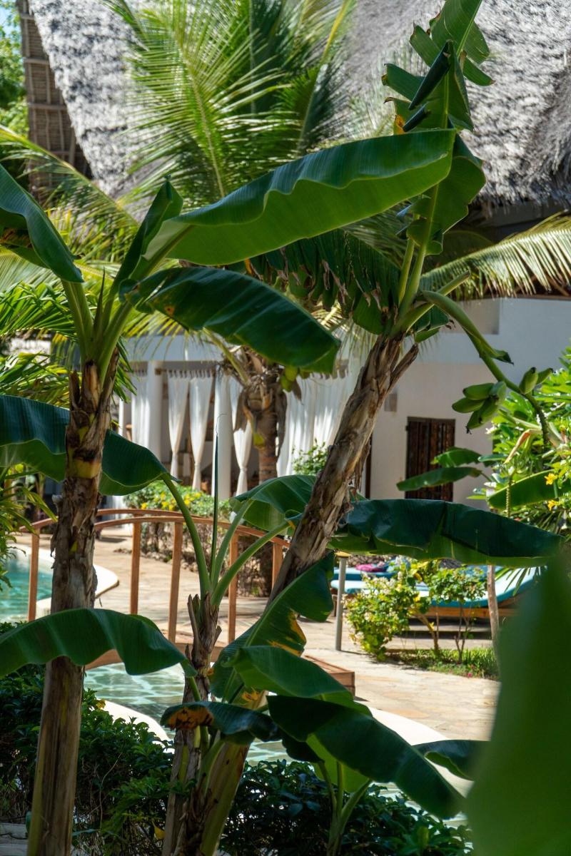 Rafiki Village image