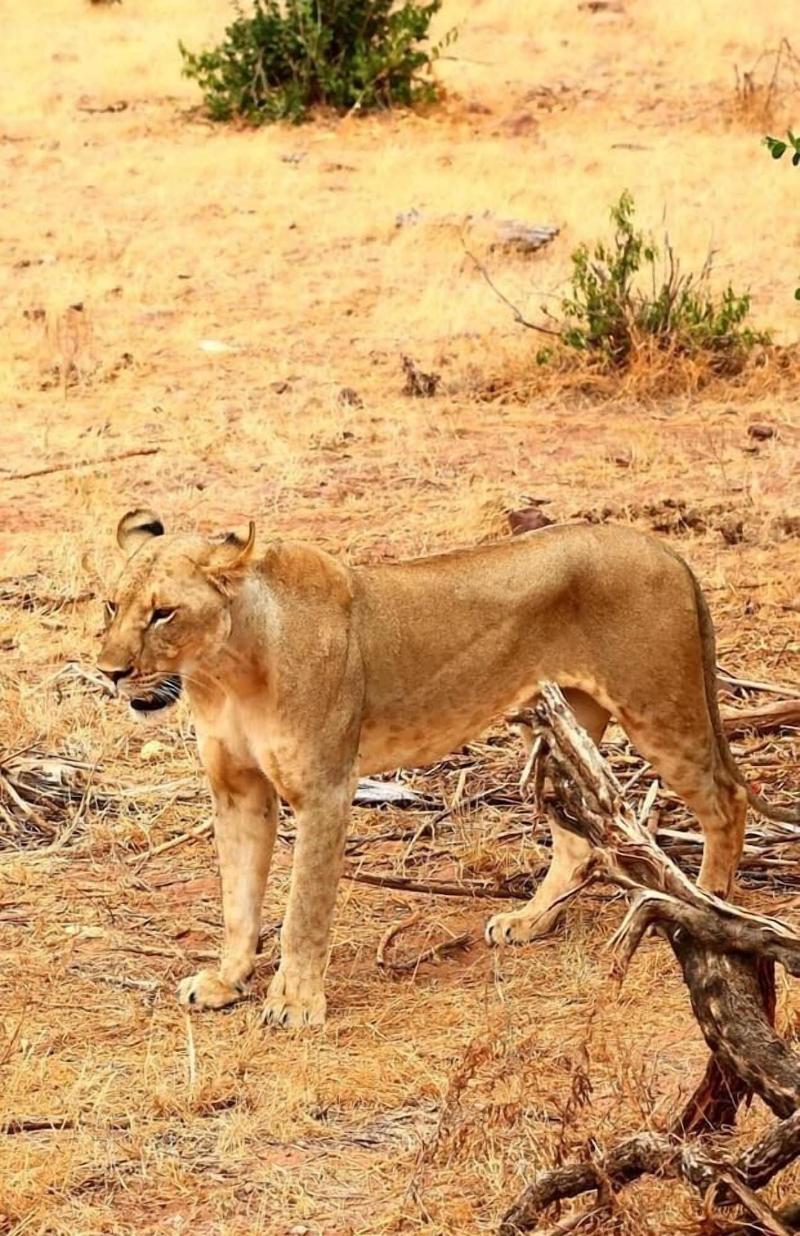 Rafiki Village image