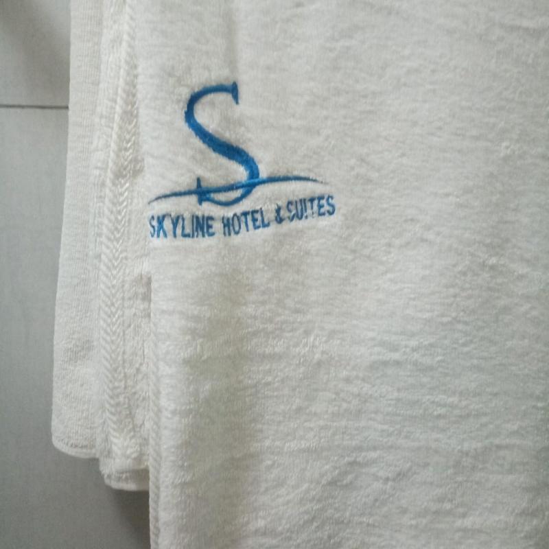 Skyline Hotel & Suites image