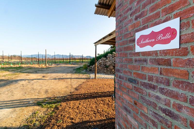 Bergsicht Country Farm Cottages