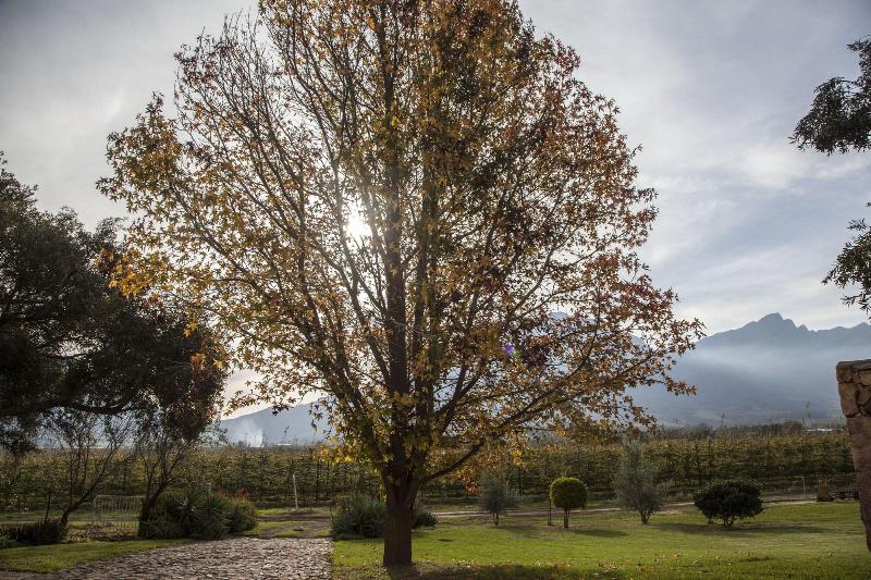 Bergsicht Country Farm Cottages