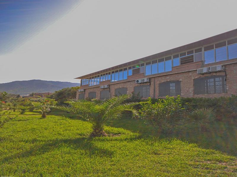 L'Oliveraie D'amizmiz image