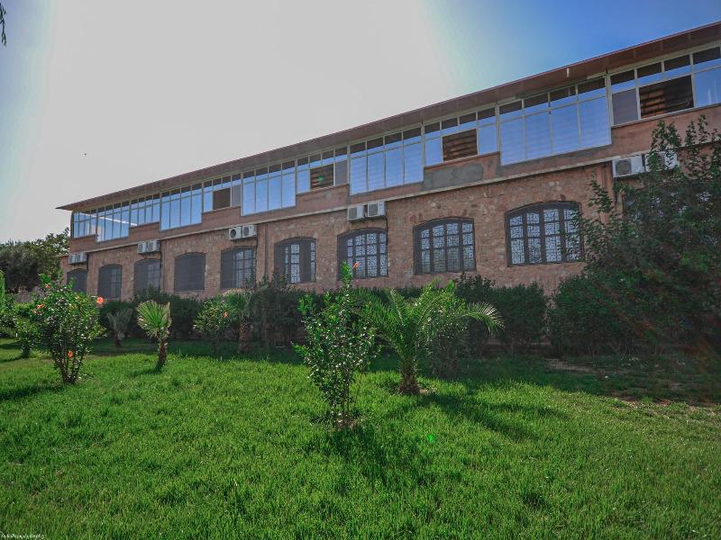 L'Oliveraie D'amizmiz image
