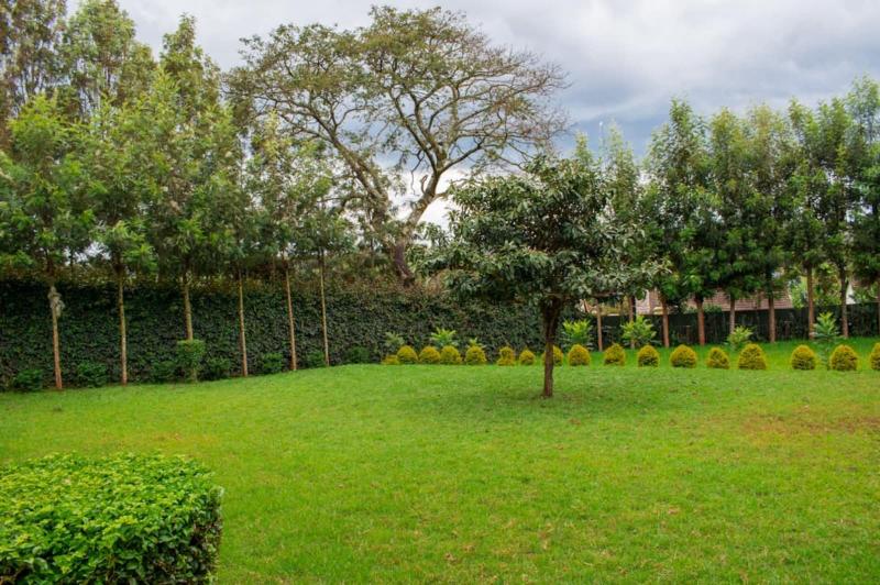 Maya's Guest House image