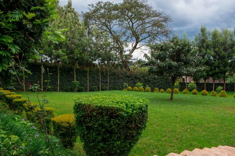 Maya's Guest House image