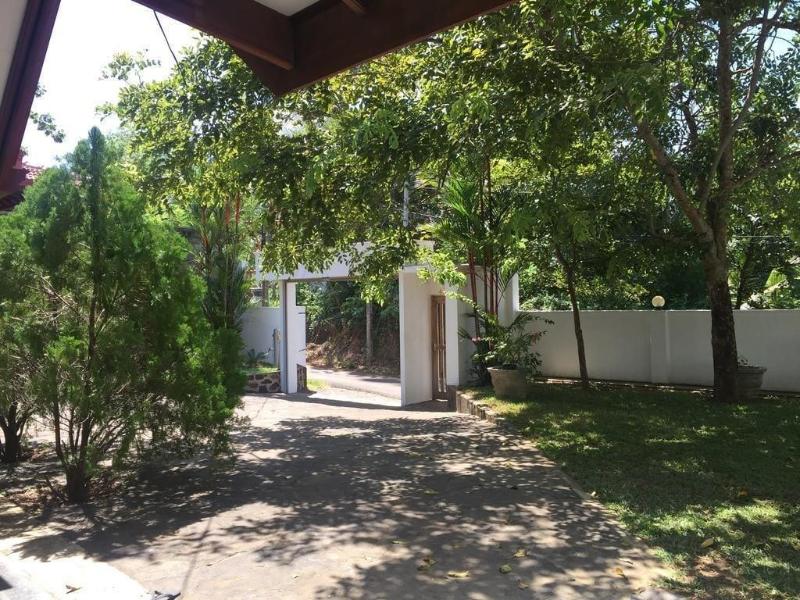 Waves Guest House & Turtle Restaurant — photo 2