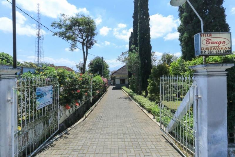 Villa Bunga image