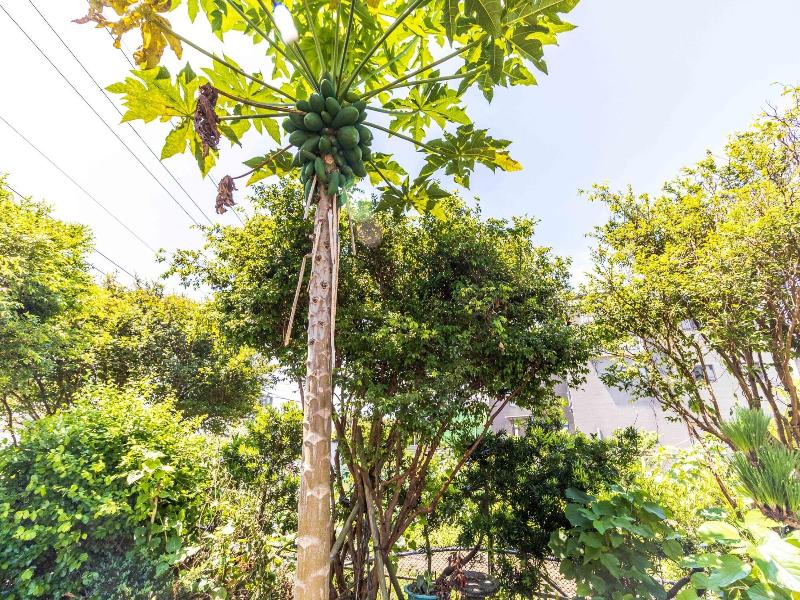 XiaoCuixuanHomestay image