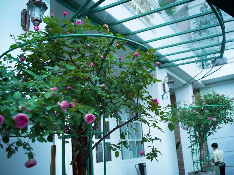 Le Soleil Boutique Hotel Dalat