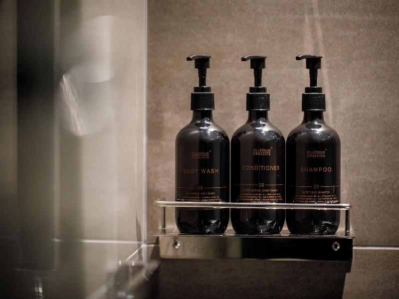 Hotel Grand Bach Tokyo Ginza image