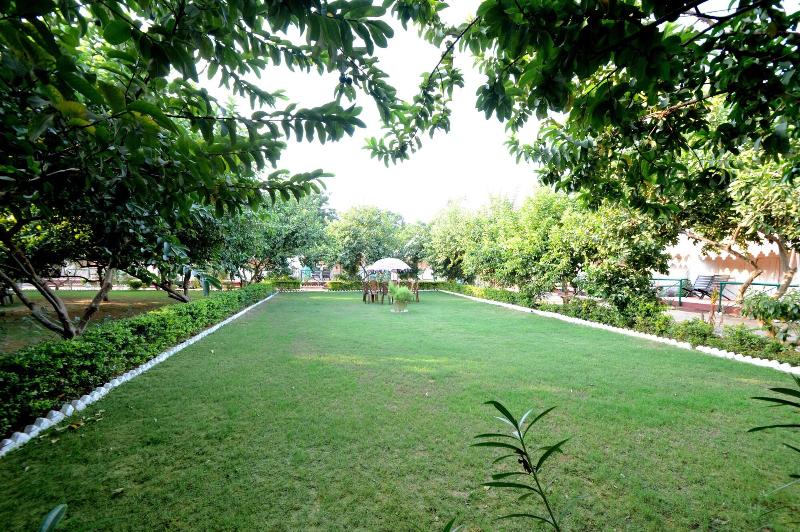 Bagh Dera Camp image