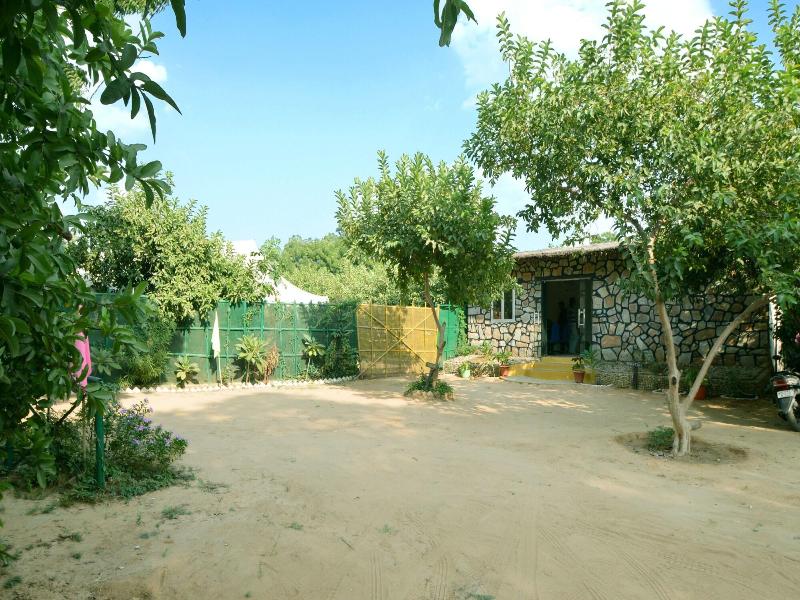 Bagh Dera Camp image